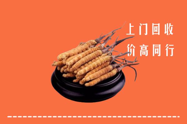 高价求购：三沙市南沙区回收散虫草