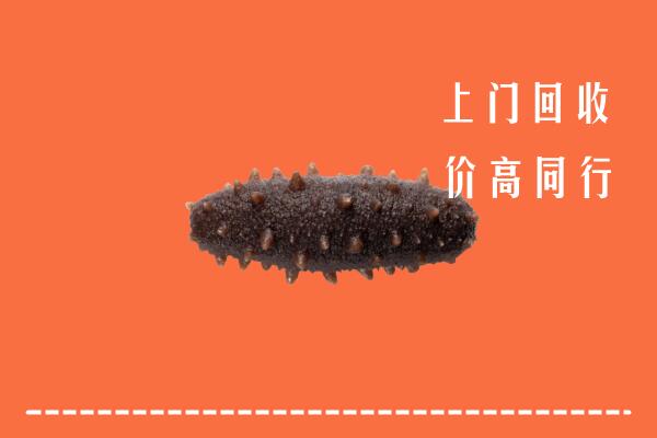 高价求购：三沙市南沙区回收海参
